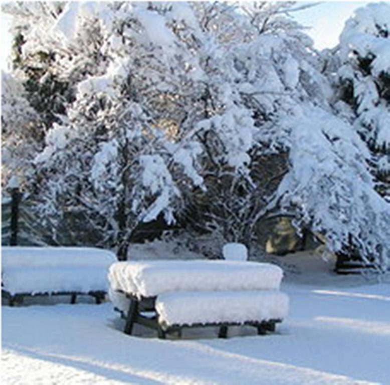 Jack In The Green Garden Rooms Hanmer Springs Eksteriør billede